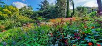 große Blumenwiese &ndash; &copy; Betina Marinow (Eberhardt TRAVEL)
