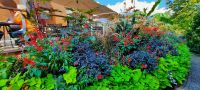 Restaurant im Garten &ndash; &copy; Betina Marinow (Eberhardt TRAVEL)