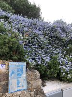 Inselvegetation &ndash; &copy; Sabine C. Seifert (Eberhardt TRAVEL)