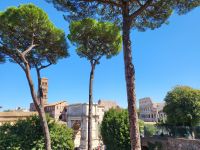 Blick zum Kolosseum &ndash; &copy; David Faatz (Eberhardt TRAVEL)
