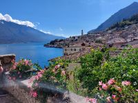 Limone
