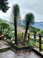 Park am Wasserfall &ndash; &copy; Sabine Krug (Eberhardt TRAVEL)