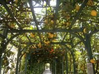 Im Garten Villa Charlotta &ndash; &copy; Gabriele Schwarze (Eberhardt TRAVEL)