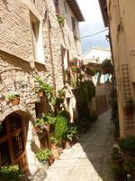 mitten in Spello  &ndash; &copy; Sandra Rößle (Eberhardt TRAVEL)