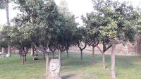 Der Orangengarten, der eigentlich Pomeranzengarten heißen sollte &ndash; &copy; Julia Kies (Eberhardt TRAVEL)