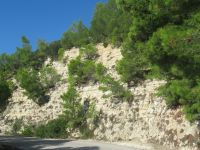 Apulien-Fahrt zu Gargano-Nationalpark.JPG &ndash; &copy; Marieta Beck (Eberhardt TRAVEL)