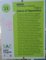 Falesie di Vignanotica.JPG &ndash; &copy; Marieta Beck (Eberhardt TRAVEL)