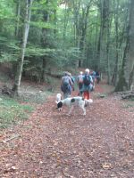 Apulien-Foresta Umbra - unsere Begleiter.JPG &ndash; &copy; Marieta Beck (Eberhardt TRAVEL)