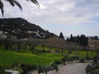 Capri