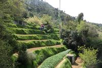 Anacapri Seilbahnfahrt Monte Solaro &ndash; &copy; Petra Sauer (Eberhardt TRAVEL)