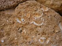 Muschelkalk &ndash; &copy; Gabriele Schwarze (Eberhardt TRAVEL)