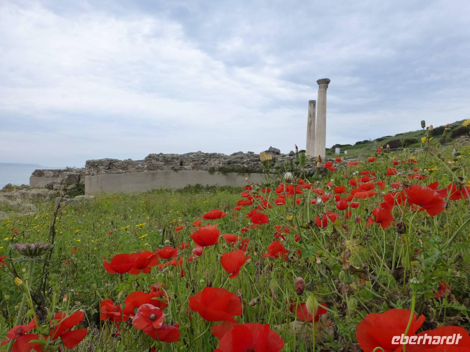 Tharros &ndash; &copy; Claudia Bernhardt (Eberhardt TRAVEL)