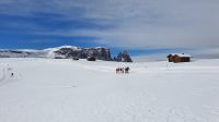 Schneeschuhwanderer auf der Seiser Alm