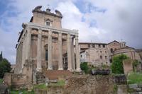 Forum Romanum (Tempel des Antoninus Pius und der Faustina)  &ndash; &copy; Katrin Deutschbein (Eberhardt TRAVEL)