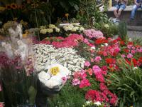 Blumenstand auf dem Campo dei Fiori &ndash; &copy; Gabriele Schwarze (Eberhardt TRAVEL)