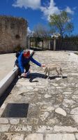 Klosterhund &ndash; &copy; Ria Heilmann (Eberhardt TRAVEL)
