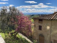 6. Reisetag – Stadtführung in San Gimignano – Aussichtspunkt &ndash; &copy; Andreas Wolfsteller (Eberhardt TRAVEL)