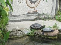Brunnenbewohner &ndash; &copy; Heike Heinen (Eberhardt TRAVEL)
