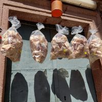 Bosa Gebäcktasche Galette &ndash; &copy; Peggy Pfützner (Eberhardt TRAVEL)
