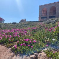 Isola Rossa &ndash; &copy; Peggy Pfützner (Eberhardt TRAVEL)