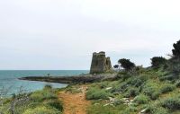 Einer der zur Bewachung der Küste errichteten Sarazenentürme bei Vieste &ndash; &copy; Simone Willner (Eberhardt TRAVEL)