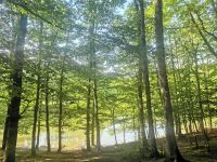 Foresta Umbra &ndash; &copy; Simone Willner (Eberhardt TRAVEL)