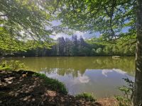 See im Foresta Umbra &ndash; &copy; Simone Willner (Eberhardt TRAVEL)