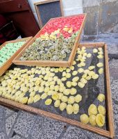 Handgemachte Orecchiette in Bari &ndash; &copy; Simone Willner (Eberhardt TRAVEL)