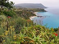 034 Kalabrien Capo Vaticano &ndash; &copy; Heike Jack (Eberhardt TRAVEL)