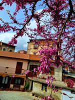 056 Kalabrien Mongiana &ndash; &copy; Heike Jack (Eberhardt TRAVEL)