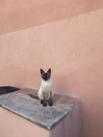 &copy; Diana Mendel (Eberhardt TRAVEL)