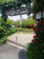 Landgut Le Colline di Sorrento &ndash; &copy; Andrej Kulikov (Eberhardt TRAVEL)