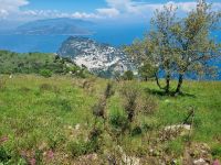 Ausblick vom Monte Solaro
