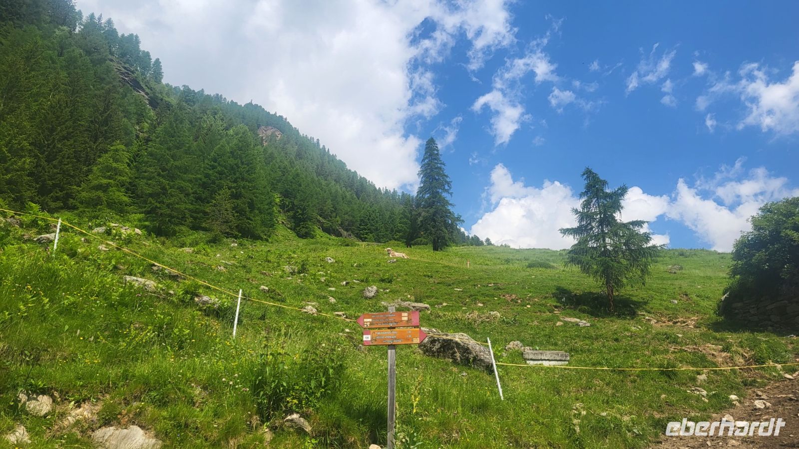 062 – Italien, Trentino, Rabbi Tal, Wanderung &ndash; &copy; Vivien Fiedler (Eberhardt TRAVEL)