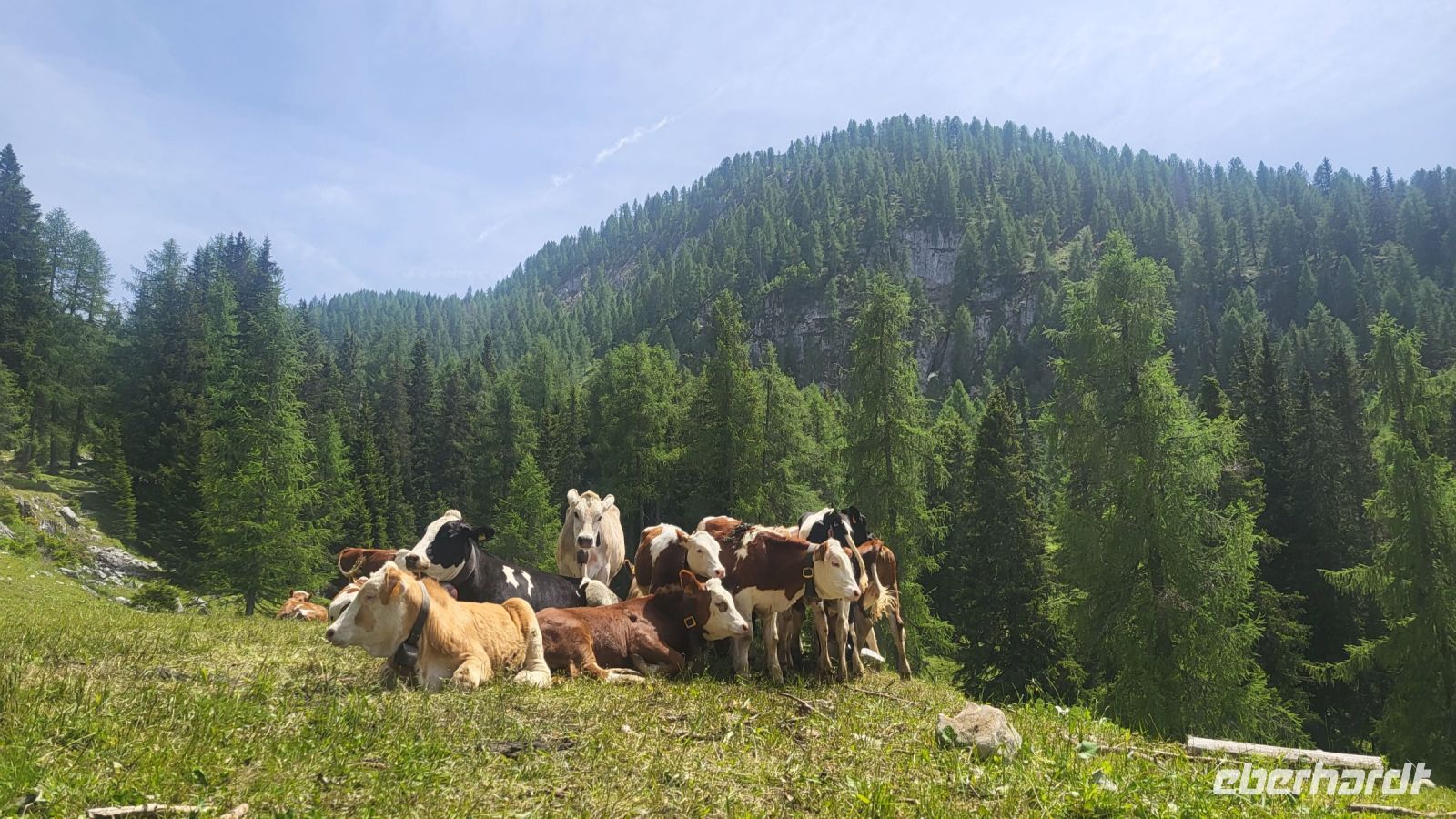191 – Italien, Trentino, Adamello-Brenta &ndash; &copy; Vivien Fiedler (Eberhardt TRAVEL)