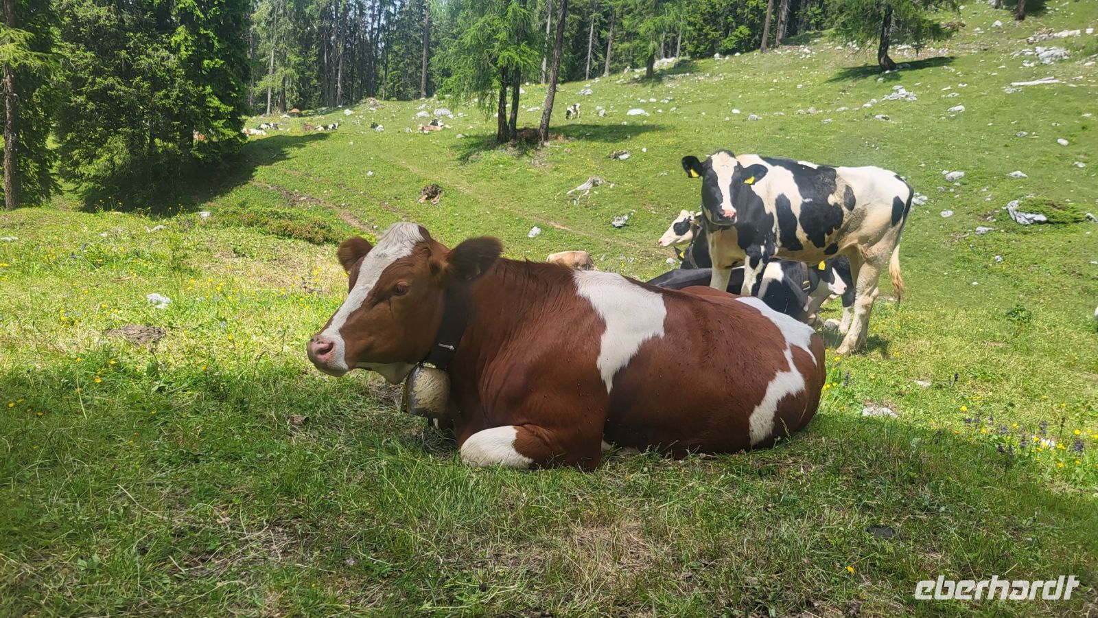 192 – Italien, Trentino, Adamello-Brenta &ndash; &copy; Vivien Fiedler (Eberhardt TRAVEL)
