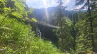 081 – Italien, Trentino, Rabbi Tal, Wanderung &ndash; &copy; Vivien Fiedler (Eberhardt TRAVEL)