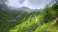 103 – Italien, Trentino, Peio Tal, Wanderung &ndash; &copy; Vivien Fiedler (Eberhardt TRAVEL)