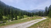 185 – Italien, Trentino, Adamello-Brenta &ndash; &copy; Vivien Fiedler (Eberhardt TRAVEL)