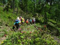 Zur Rotwandwiesenhütte &ndash; &copy; Doreen Päßler (Eberhardt TRAVEL)