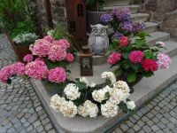 Besuch in Innichen &ndash; &copy; Doreen Päßler (Eberhardt TRAVEL)
