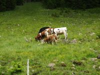 DSC00539 &ndash; &copy; Doreen Päßler (Eberhardt TRAVEL)