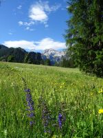 DSC00567 &ndash; &copy; Doreen Päßler (Eberhardt TRAVEL)