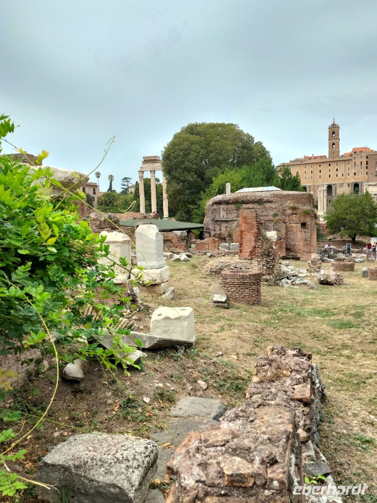 Forum Romanum &ndash; &copy; Johanna König (Eberhardt TRAVEL)
