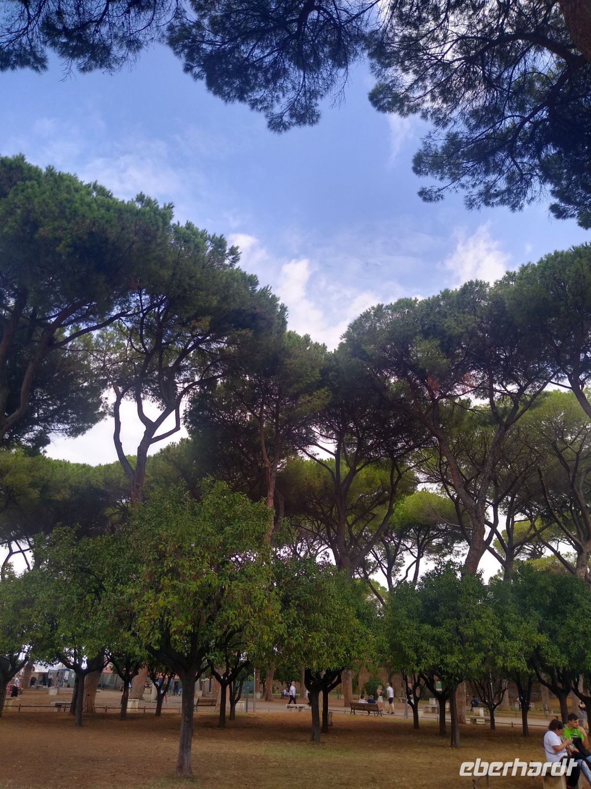 Pomeranzengarten &ndash; &copy; Johanna König (Eberhardt TRAVEL)