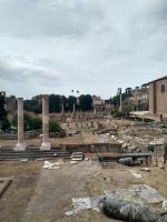 Forum Romanum &ndash; &copy; Johanna König (Eberhardt TRAVEL)