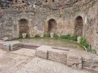 Forum Romanum