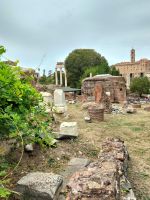 Forum Romanum &ndash; &copy; Johanna König (Eberhardt TRAVEL)