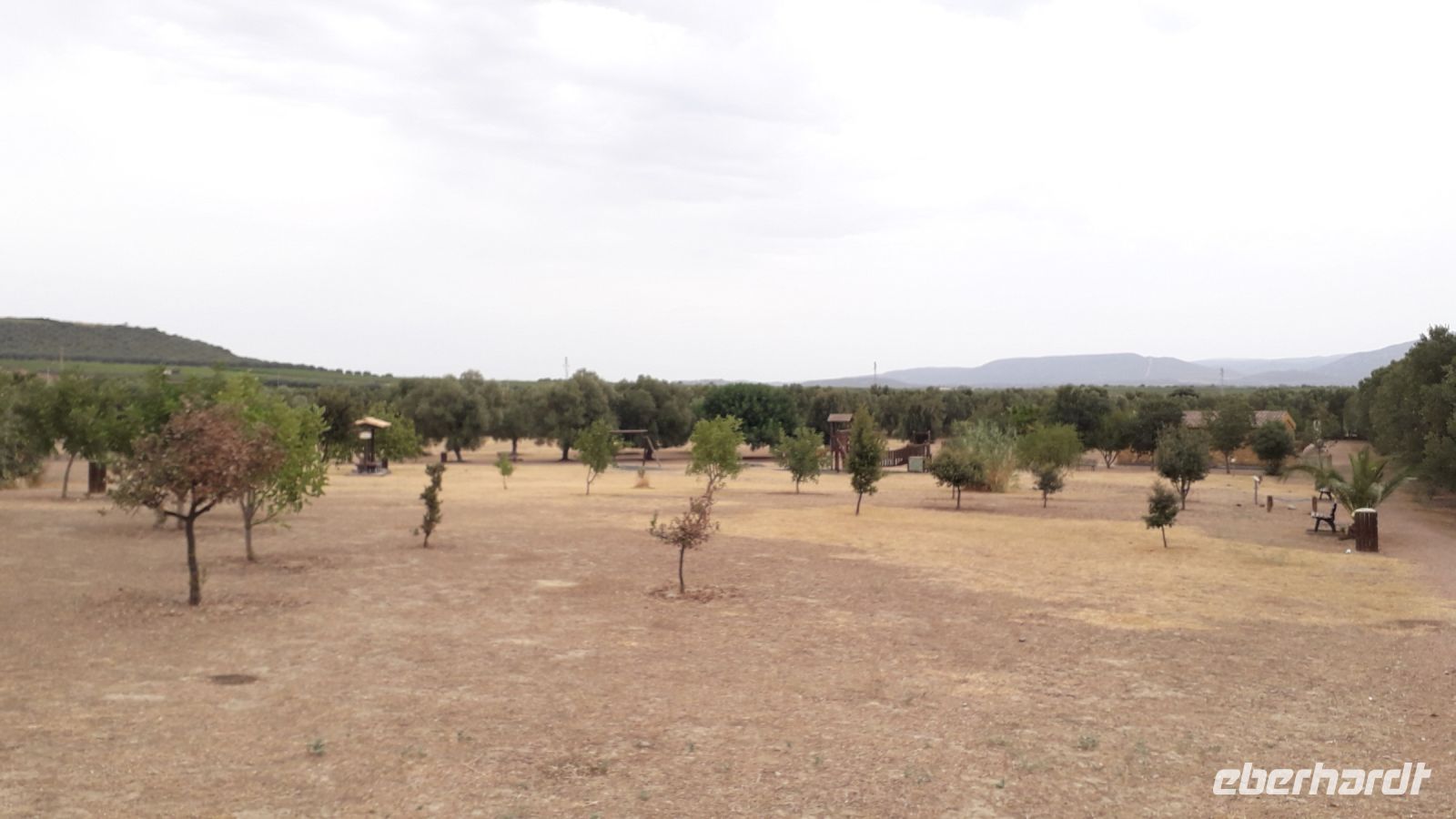 Olivenhain &ndash; &copy; Julia Kies (Eberhardt TRAVEL)