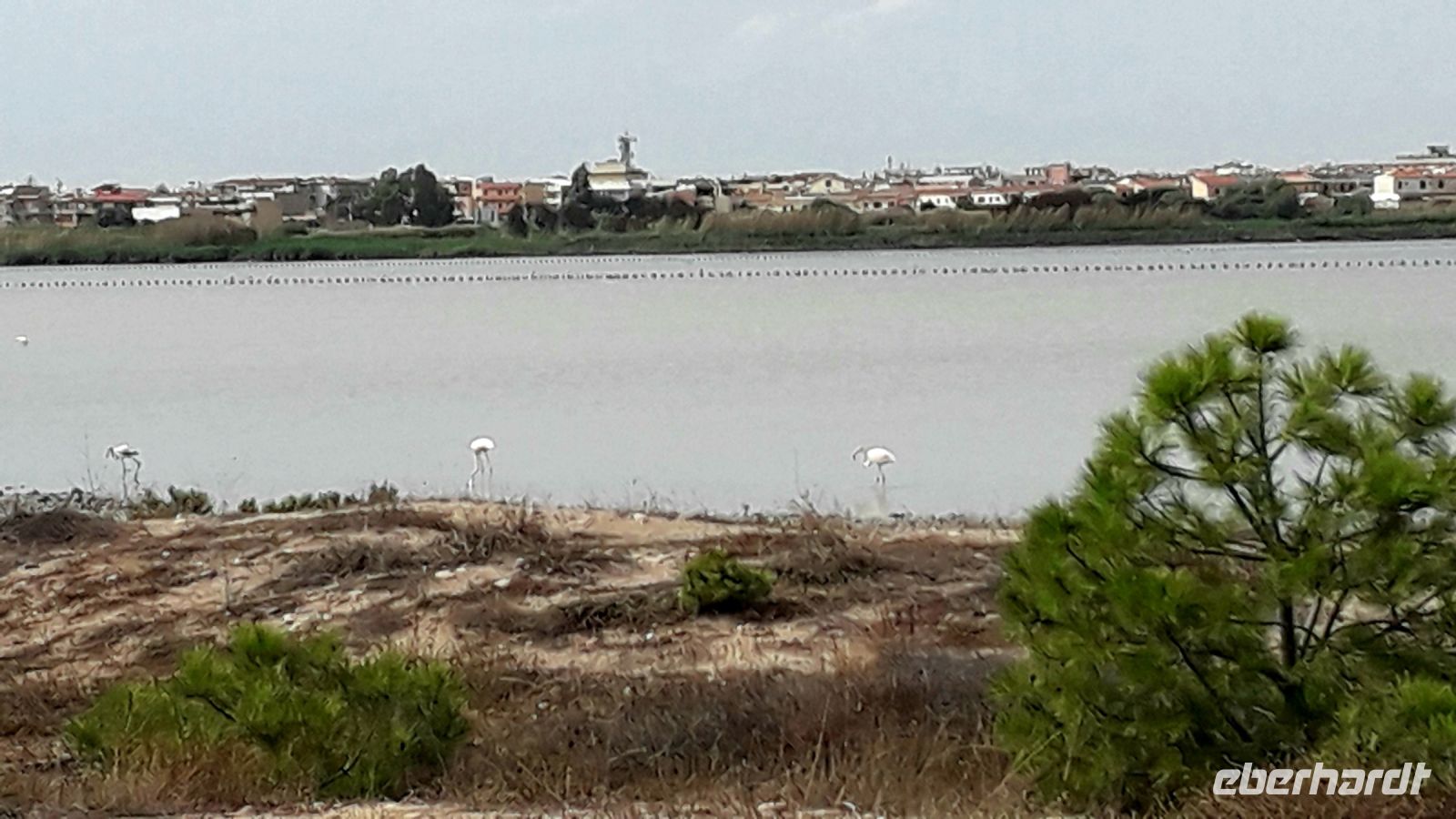 Flamingos &ndash; &copy; Julia Kies (Eberhardt TRAVEL)